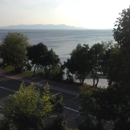 Apartment Marina Senj Сень Екстер'єр фото